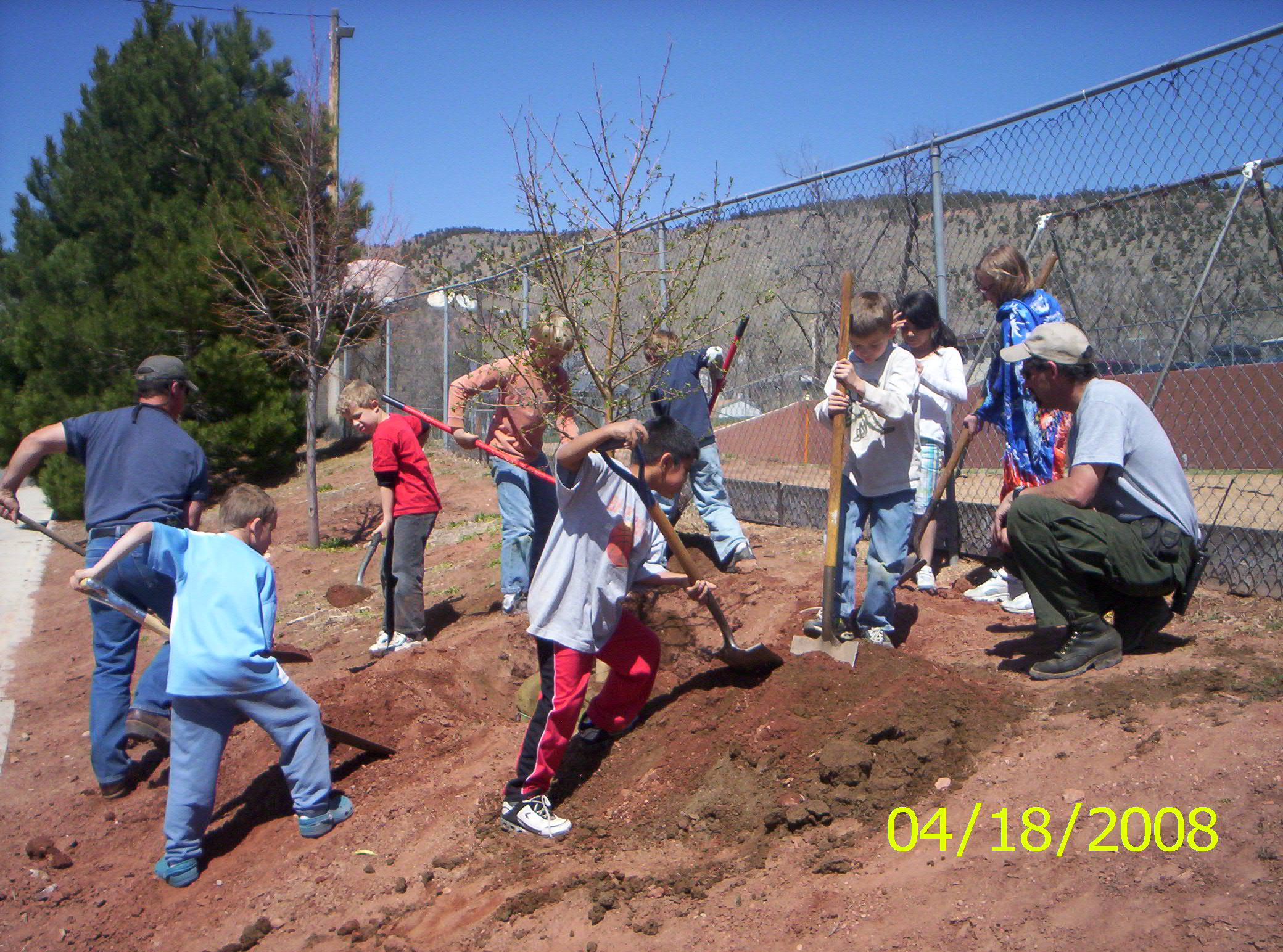 Arbor Day - Group of People Planting Trees